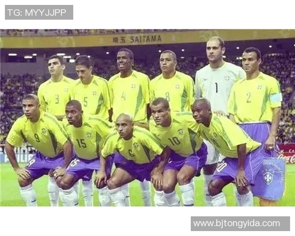 足球明星历史排名揭秘谁是足坛真正的传奇与巨星